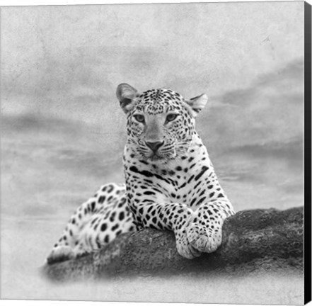 Framed Leopard 2A2 Print
