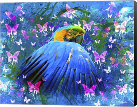 Framed Bird In Color Print