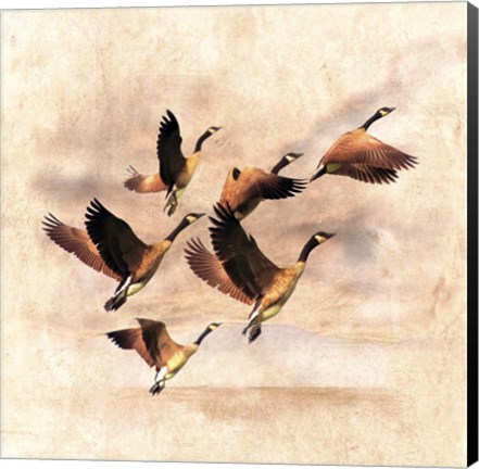 Framed Birds Fly Away 1 Print