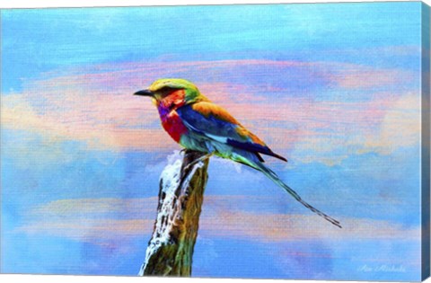 Framed Blue Bird 2B Print