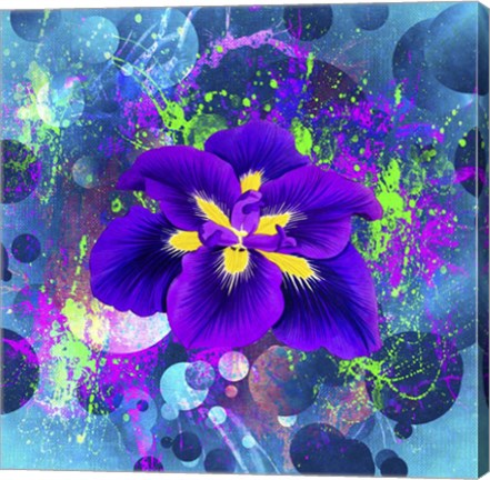 Framed Flower Design 4AX Print