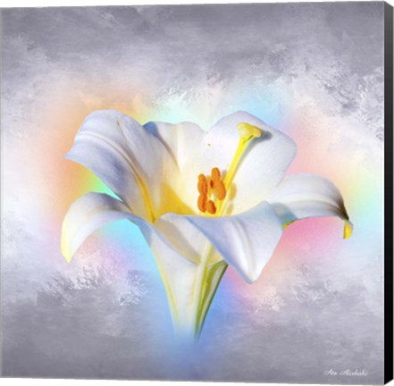 Framed Flower On Colors 1 Print