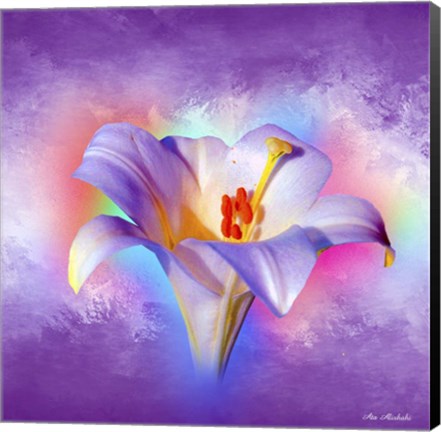 Framed Flower On Colors 2 Print