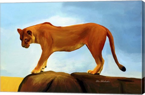 Framed Lioness On A Rock 1 Print