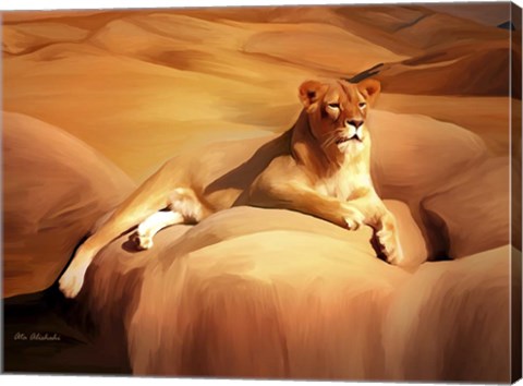 Framed Lioness On A Rock 2 Print