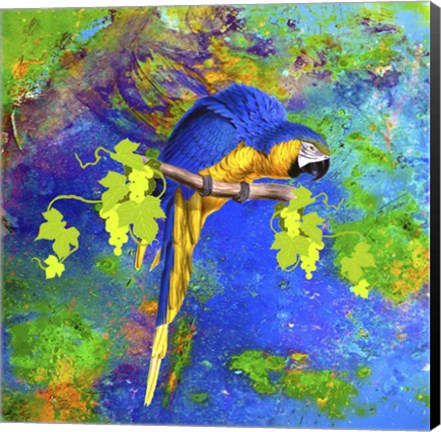 Framed Parrot And Colors Print