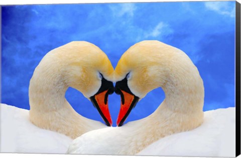 Framed Soul mate Print