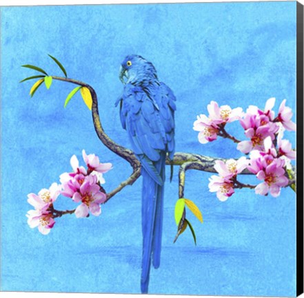 Framed Spring Bird And Flower Print