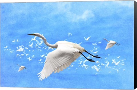 Framed White Birds And Blue Sky Print