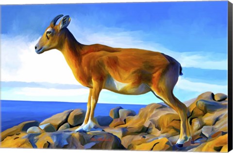 Framed Wild Life 2 Print