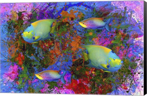 Framed Fish Art 3 Print