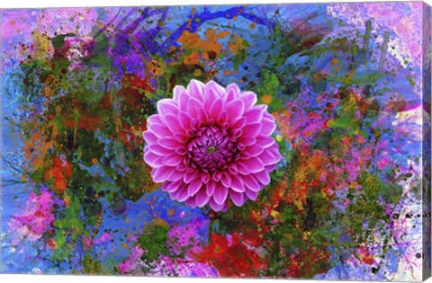 Framed Flower Design 7G Print