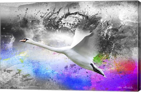 Framed Black And White To Color Print