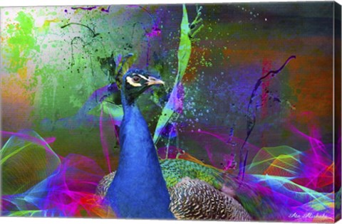 Framed Color Explosion CM7 Print