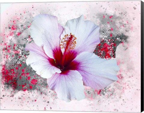 Framed Flower Design 6MN Print