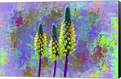 Framed Flower Design H52 Print