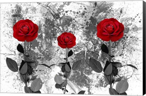 Framed Red Roses Print