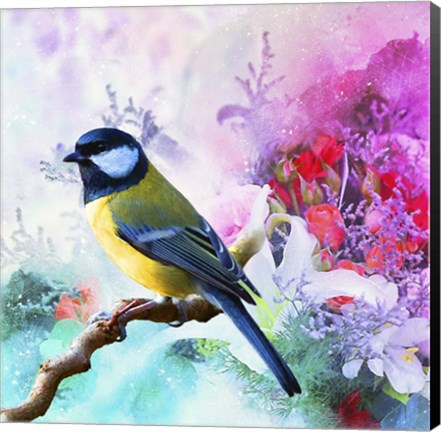 Framed Bird Collection 1 Print