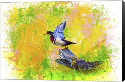 Framed Bird Collection 3 Print