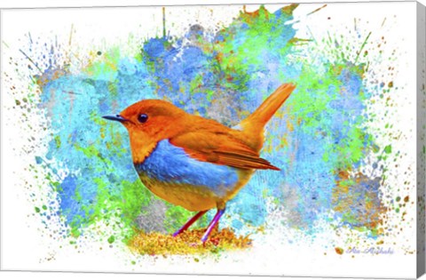 Framed Bird Collection 4 Print