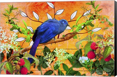 Framed Bird Collection 5 Print