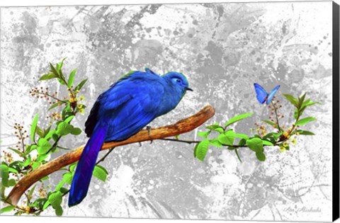 Framed Bird Collection 6 Print