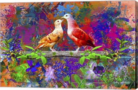 Framed Bird Collection 7 Print