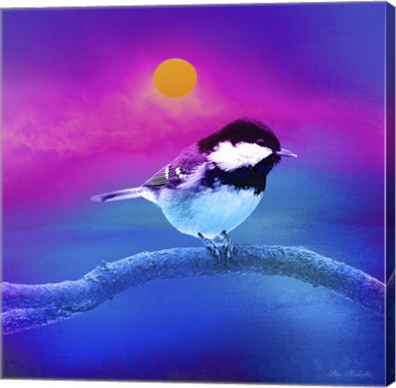 Framed Bird Collection 8 Print