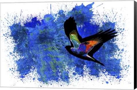 Framed Bird Collection 9 Print