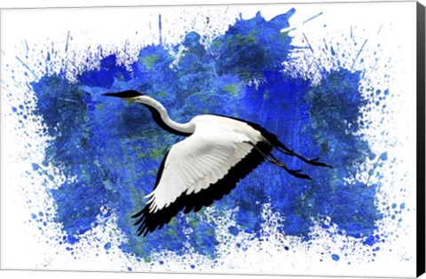 Framed Bird Collection 10 Print