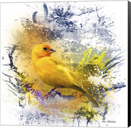 Framed Bird Collection 12 Print