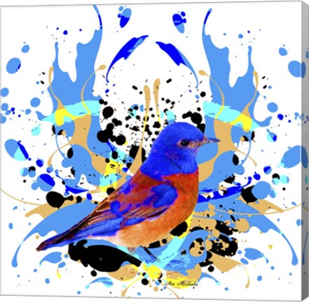 Framed Bird Collection 13 Print