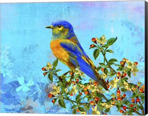 Framed Bird Collection 15 Print