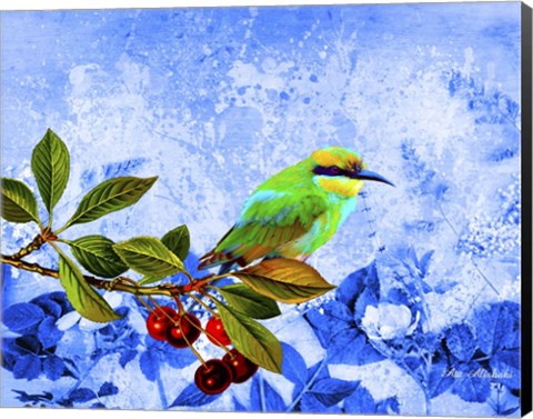 Framed Bird Collection 16 Print