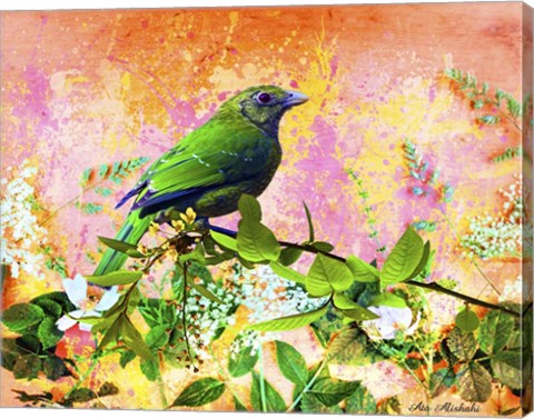 Framed Bird Collection 17 Print