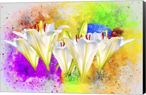 Framed Flower Design 11MA Print