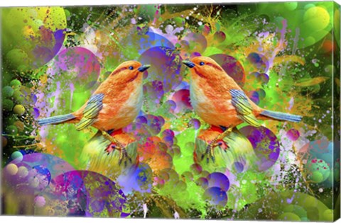 Framed Lover Birds M2 Print