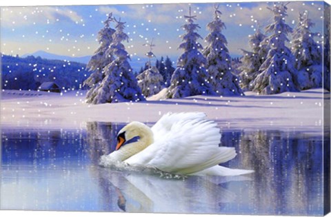 Framed Swan Winter Print