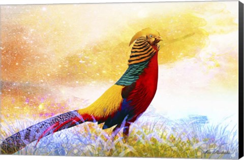 Framed Bird Collection 20 Print