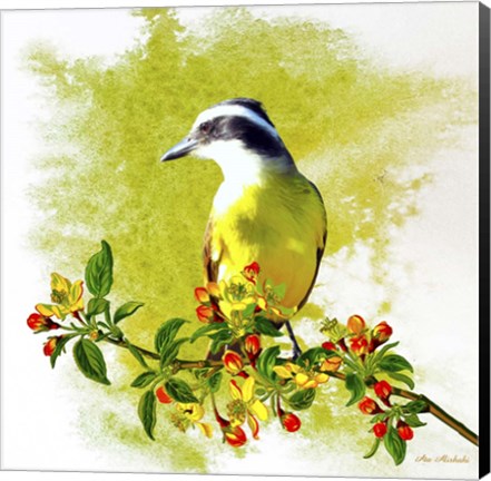 Framed Bird Collection 23 Print