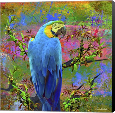 Framed Bird Collection 24 Print