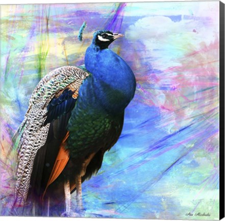 Framed Bird Collection 25 Print