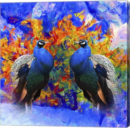 Framed Bird Collection 26 Print