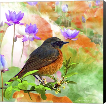 Framed Bird Collection 30 Print
