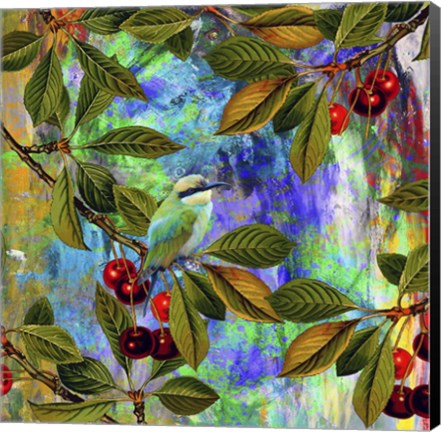 Framed Bird Collection 31 Print