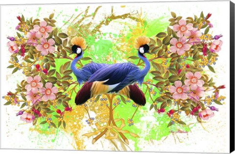 Framed Bird Collection 36 Print