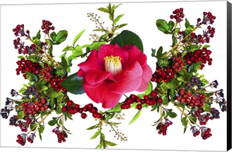 Framed Flower Design K4 Print