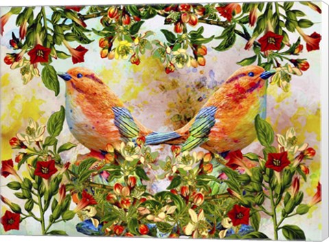 Framed Twin Birds K7 Print