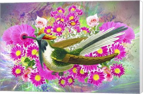 Framed Bird Collection 40 Print