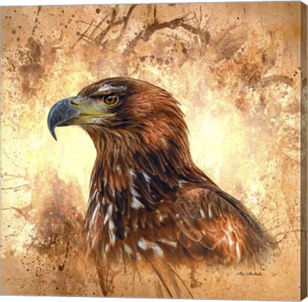 Framed Eagle Portrait Print